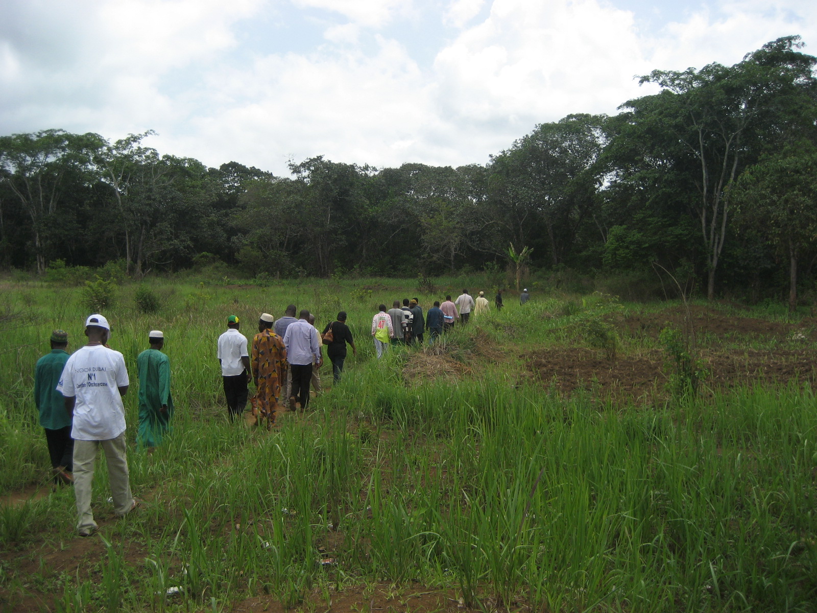 Carter Center, Cameroon team walking to river